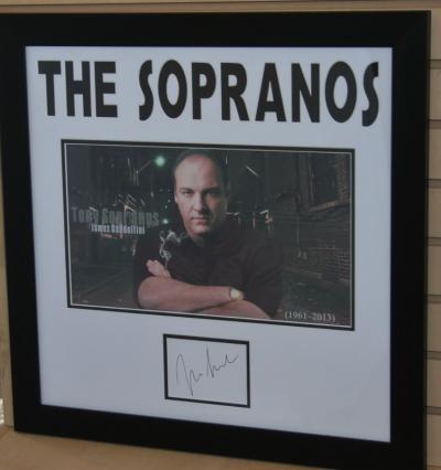 Tony Soprano signed display
