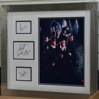 Harry Potter signed by three!!