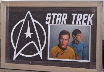 Star Trek double signed 10 x 8