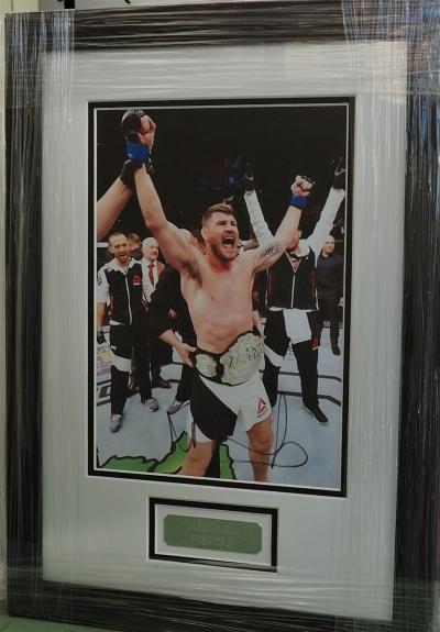 Michael Bisping UFC fight champ