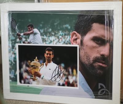 Novak Djokovic signed 12 x 8