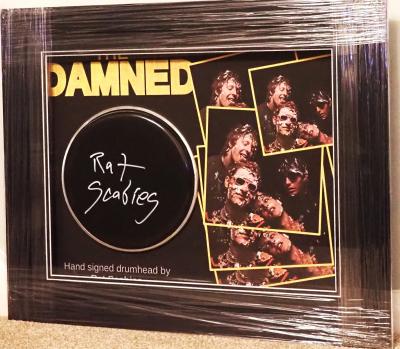 Rat Scabies signed drumskin